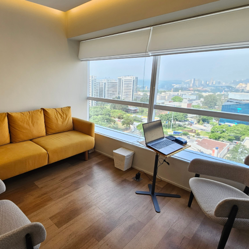 psicologa_alphaville_consultorio_01